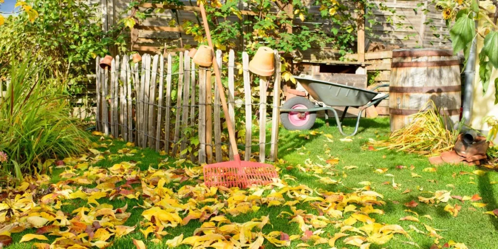How Can I Prepare My Garden for the Fall Season?