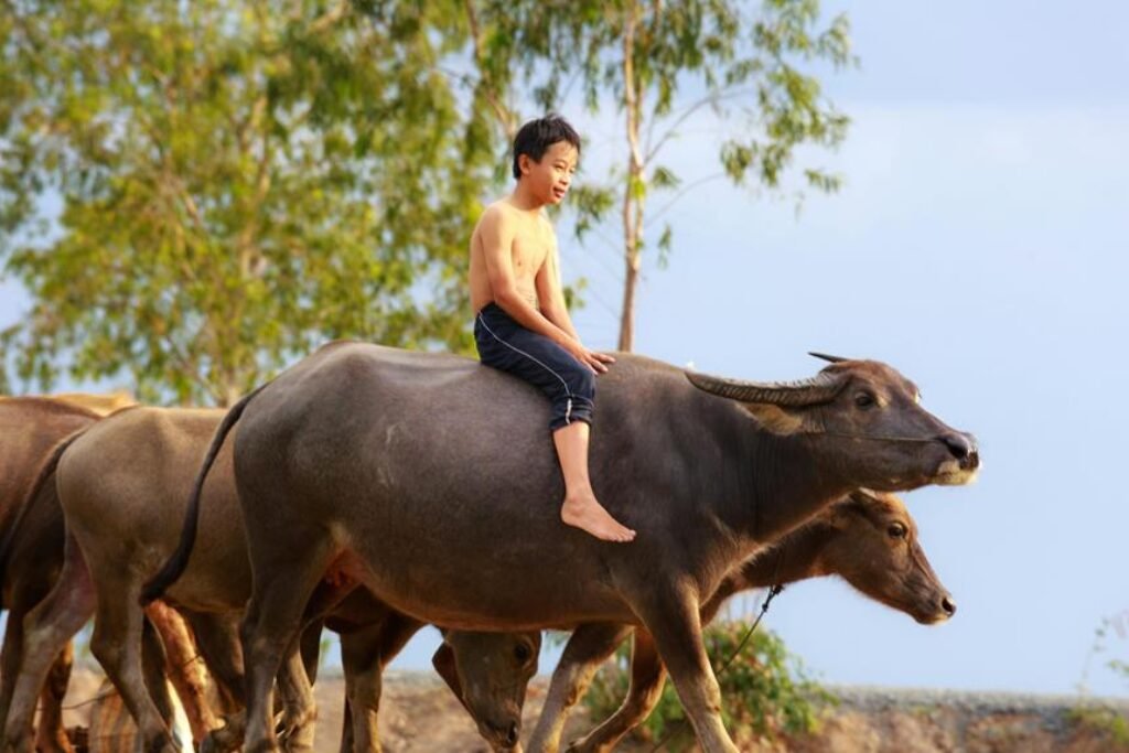 What Are the Best Ways to Introduce Kids to Wildlife Safely? What Are the Best Ways to Introduce Kids to Wildlife Safely?