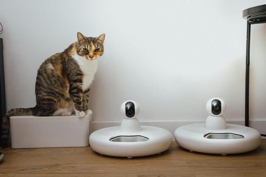 How Can Smart Pet Cameras Help You Monitor Your Pet When You’re Away? How Can Smart Pet Cameras Help You Monitor Your Pet When You’re Away?